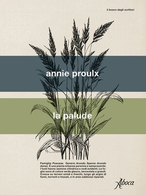 cover image of La palude